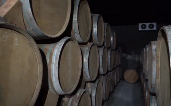 Hin Areni Wine Factory Tour and Tasting