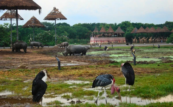 Safari World tour with lunch (sharing basis)