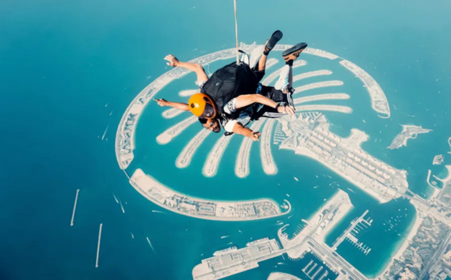 Sky Dive at the Palm