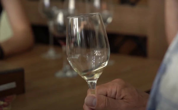 Hin Areni Wine Factory Tour and Tasting