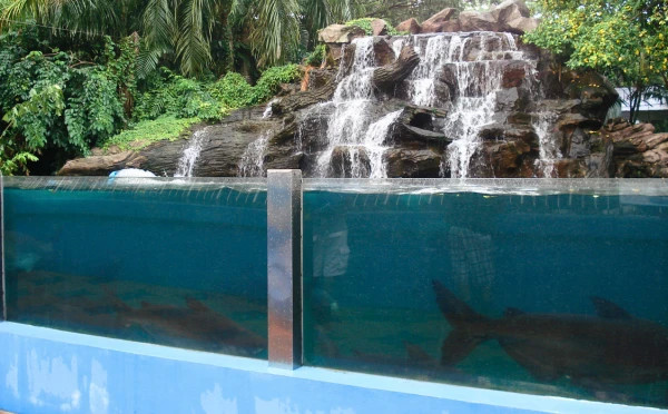 Safari World tour with lunch (sharing basis)