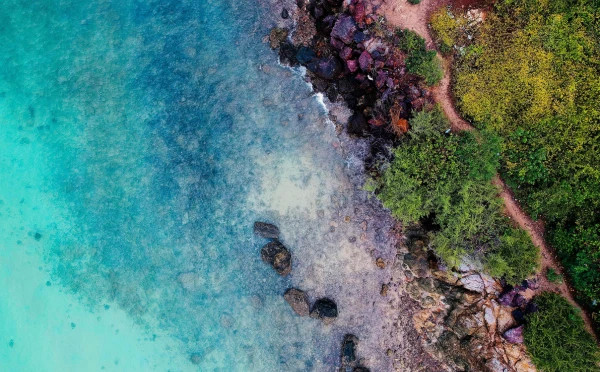 Coral Island speed boat tour with lunch (sharing basis)