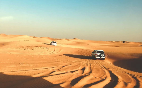 Abu Dhabi Desert Safari with Dinner and Entertainment (sharing basis)