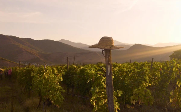 Enchanting Georgia - 5 Days 4 Nights