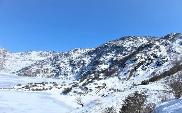 Enchanting North East 