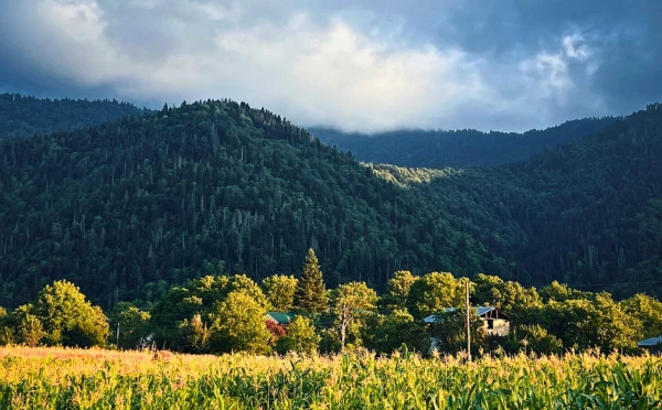 Enchanting Georgia - 5 Days 4 Nights