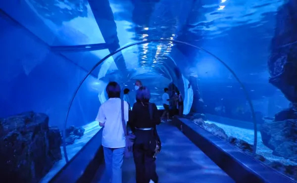 Enchanting Bangkok Escapade - 4 Days 3 Nights