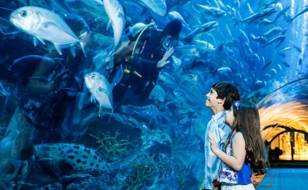 Abu Dhabi and Dubai Delights - 7 Days 6 Nights