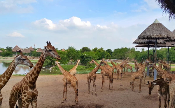 Tempting Thailand 6 Days 5 Nights