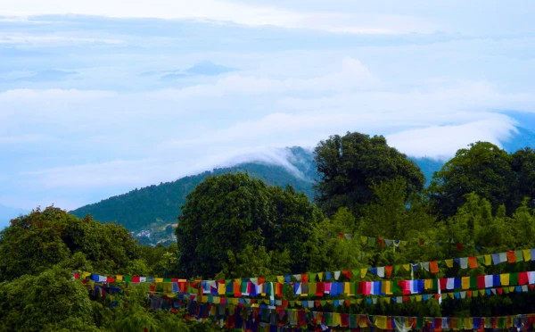 Enchanting North East 