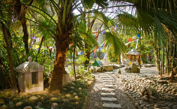 Mesmerizing Havenland of Himalayas