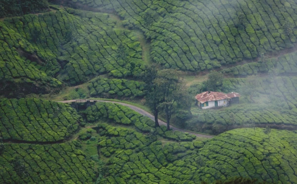 Exotic Kerala tour