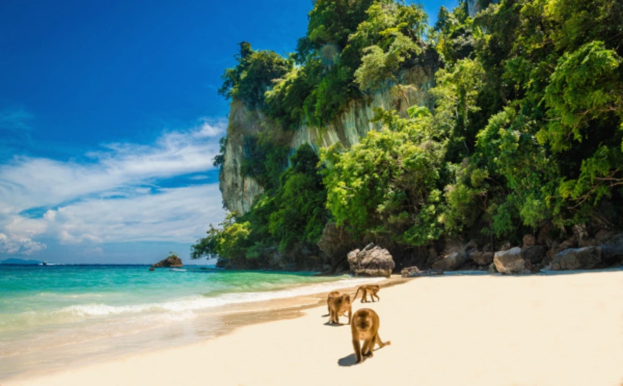 Phuket and Krabi Tour - 5 Days 4 Night