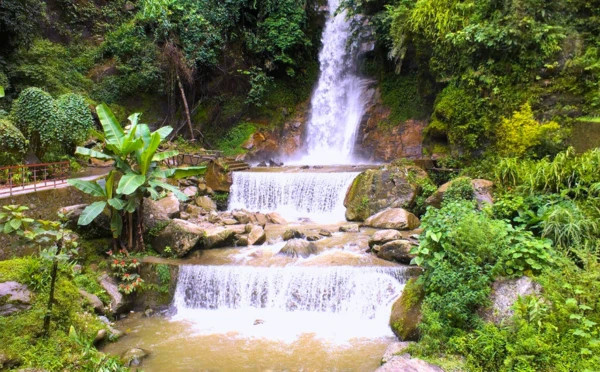 Enchanting North East 