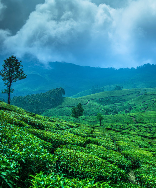 Discover Best of Kerala
