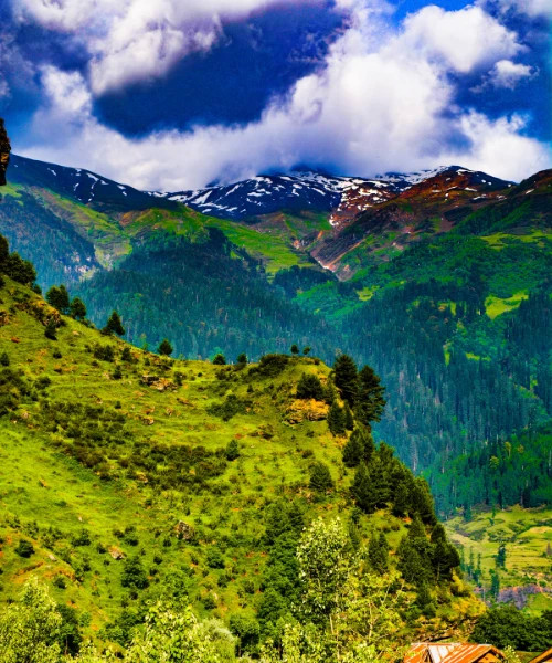 Northern India Odyssey