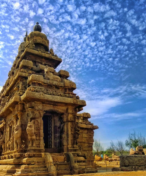 Temple Tour of South