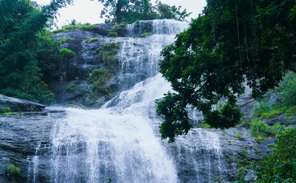 Discover Best of Kerala