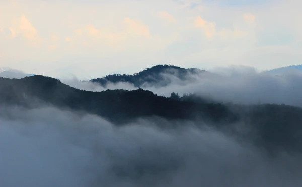 Discover Best of Kerala