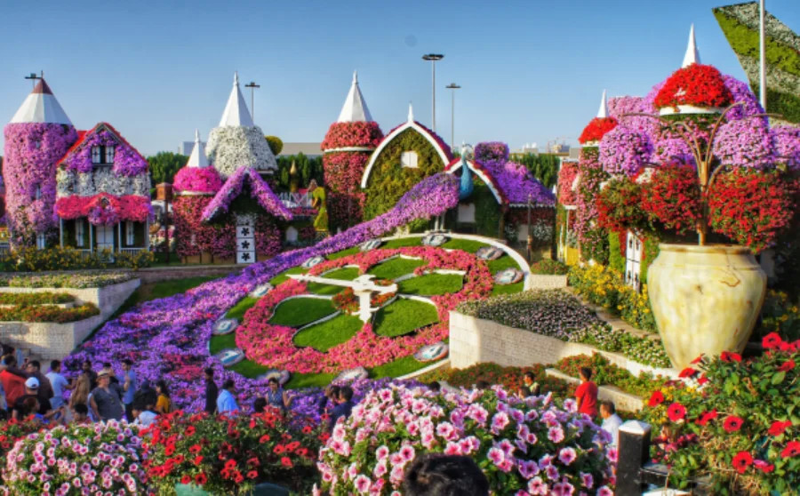 Miracle Garden