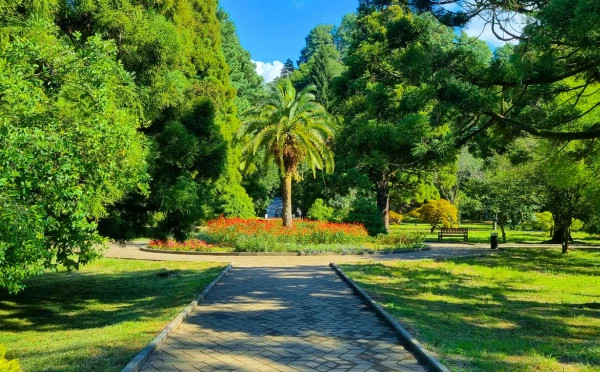 Batumi botanical garden