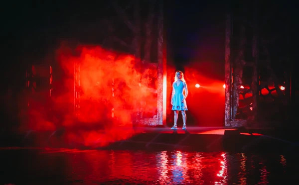 La Perle Show - Bronze Ticket