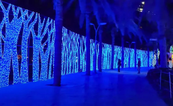 Glow Garden and Dinosaur Park