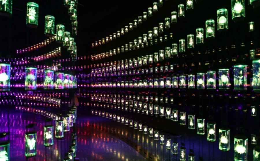 Museum of the Future