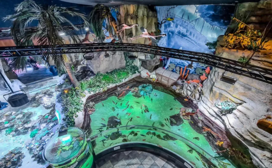 Dubai Aquarium and Underwater Zoo