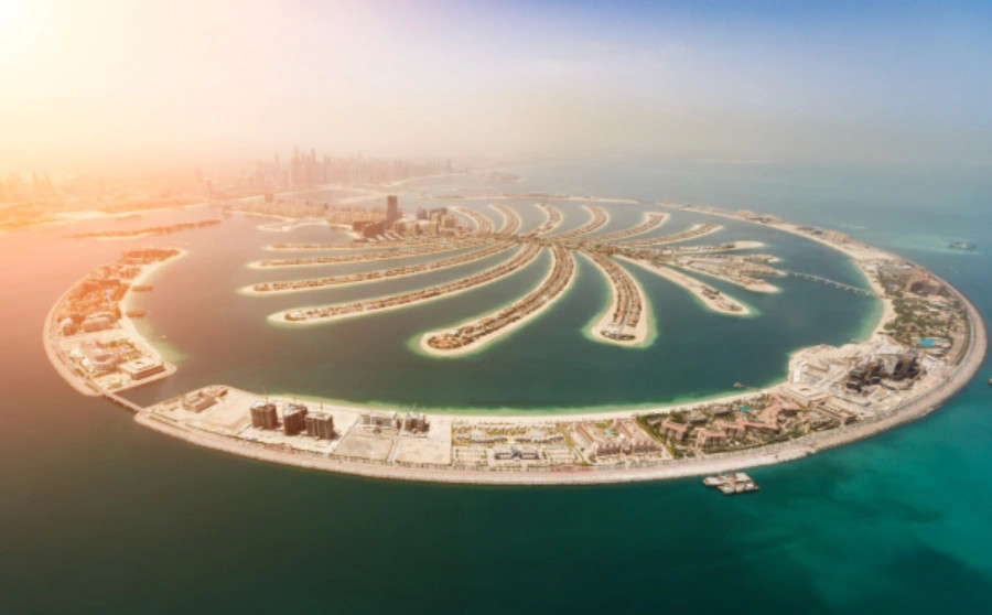 View at the Palm Observatory (Non-Prime Hours)