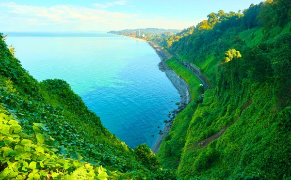 Batumi botanical garden