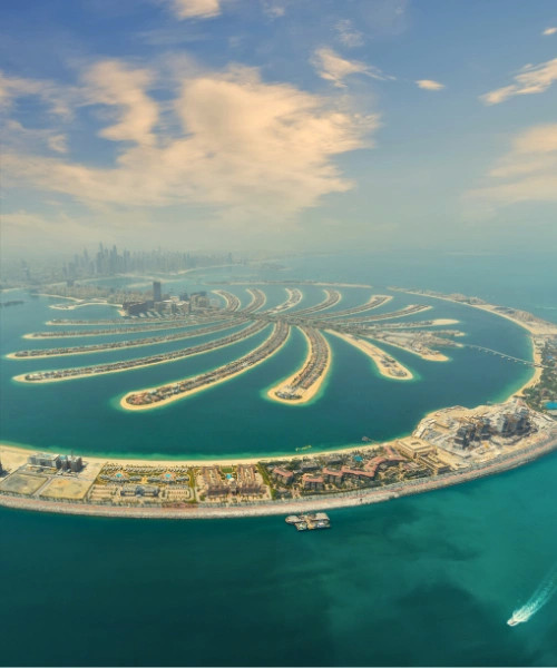 View at the Palm Observatory (Non-Prime Hours)