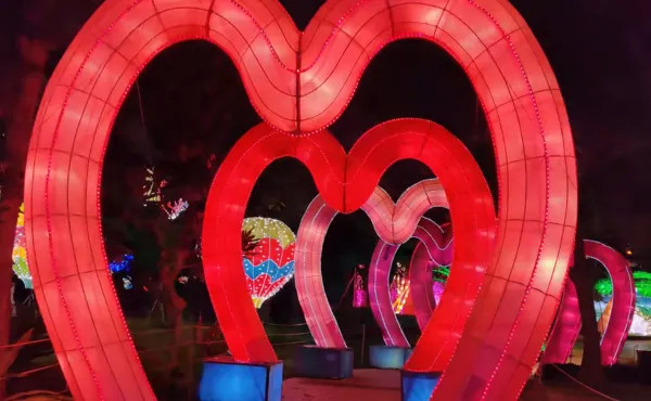 Glow Garden and Dinosaur Park