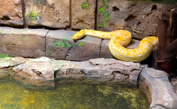 Baku Zoological Park 