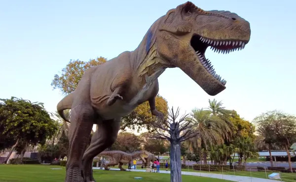 Glow Garden and Dinosaur Park