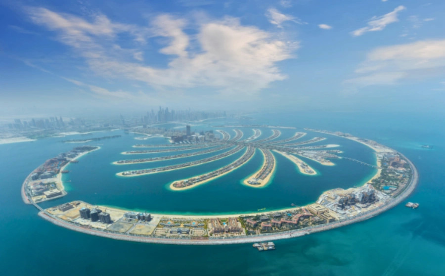 View at the Palm Observatory (Non-Prime Hours)