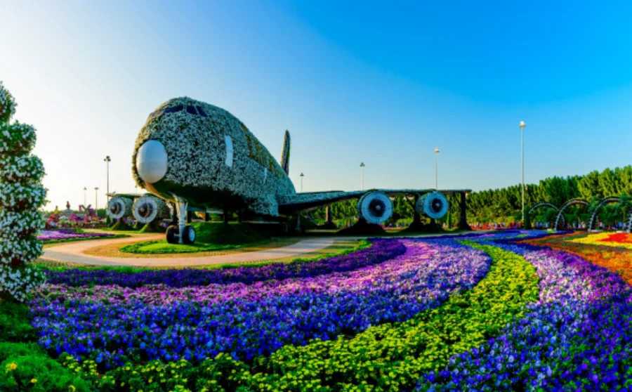 Miracle Garden