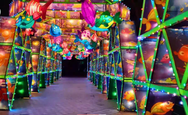 Glow Garden and Dinosaur Park