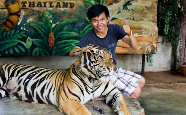 Tiger Topia Zoo - Photo Shoot with Tiger