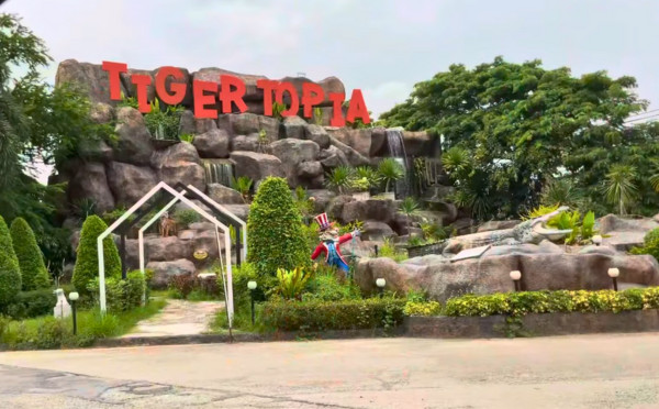 Tiger Topia Zoo - Photo Shoot with Tiger