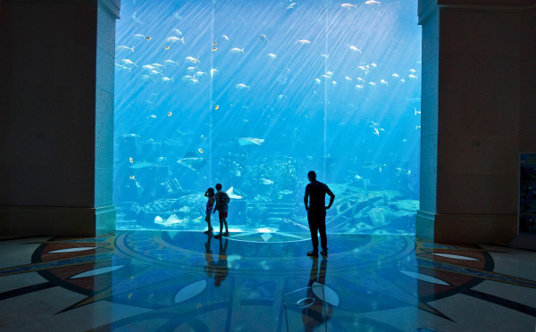 The Lost Chambers Aquarium