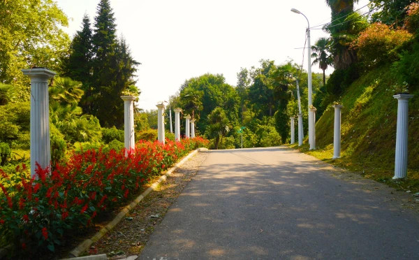 Batumi botanical garden