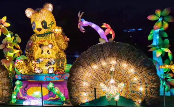 Glow Garden and Dinosaur Park