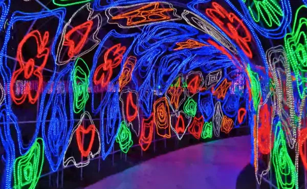 Glow Garden and Dinosaur Park