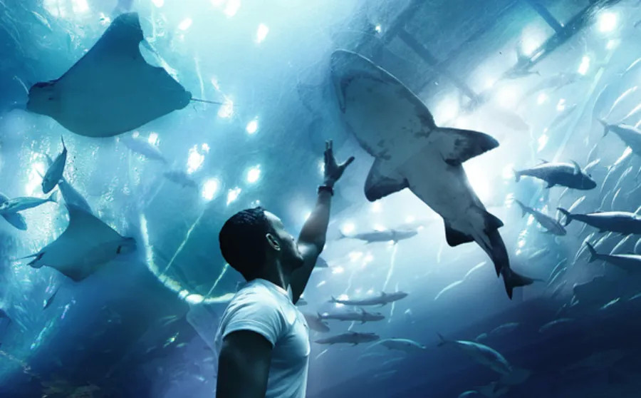 Dubai Aquarium and Underwater Zoo